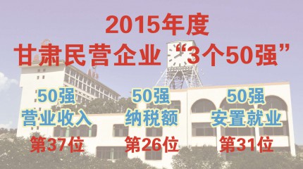  巍雅斯躋身甘肅2015年度民營(yíng)企業(yè)“三個(gè)50強(qiáng)”