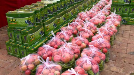 開展“愛心認(rèn)領(lǐng)”消費(fèi)扶貧活動